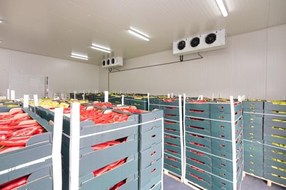 stockage-fruits-legumes-chambre-froide