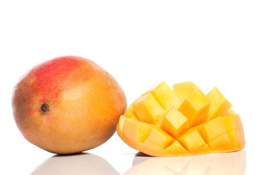 mangue