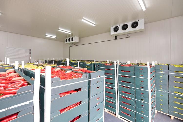 stockage-fruits-legumes-chambre-froide